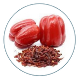 MORRÓN DESHIDRATADO