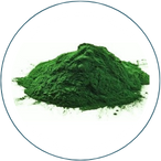 SPIRULINA EN POLVO