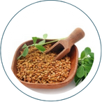 SEMILLA DE FENOGRECO