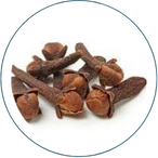 CLAVO DE OLOR EN GRANO