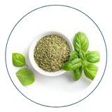 OREGANO