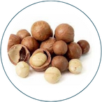 NUEZ DE MACADAMIA